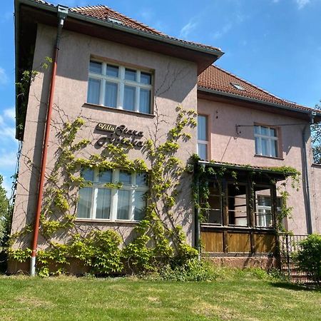 Villa Stara Apteka Srebrna Góra Buitenkant foto